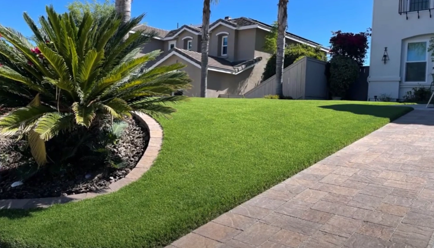 Lawn & Garden Turf