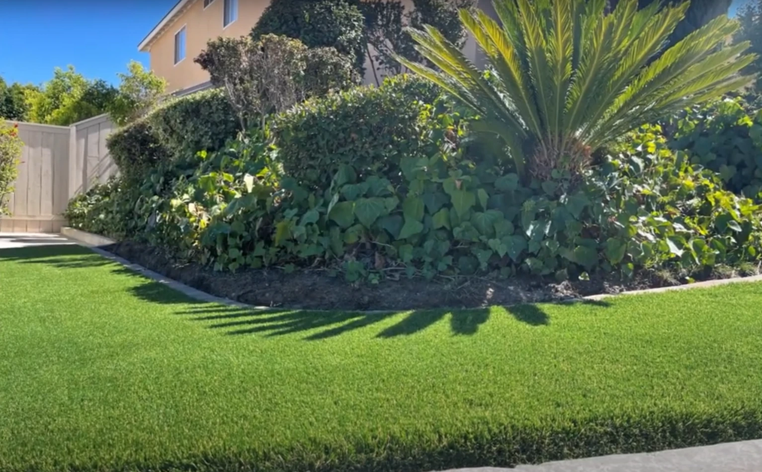 landscape artificial grass