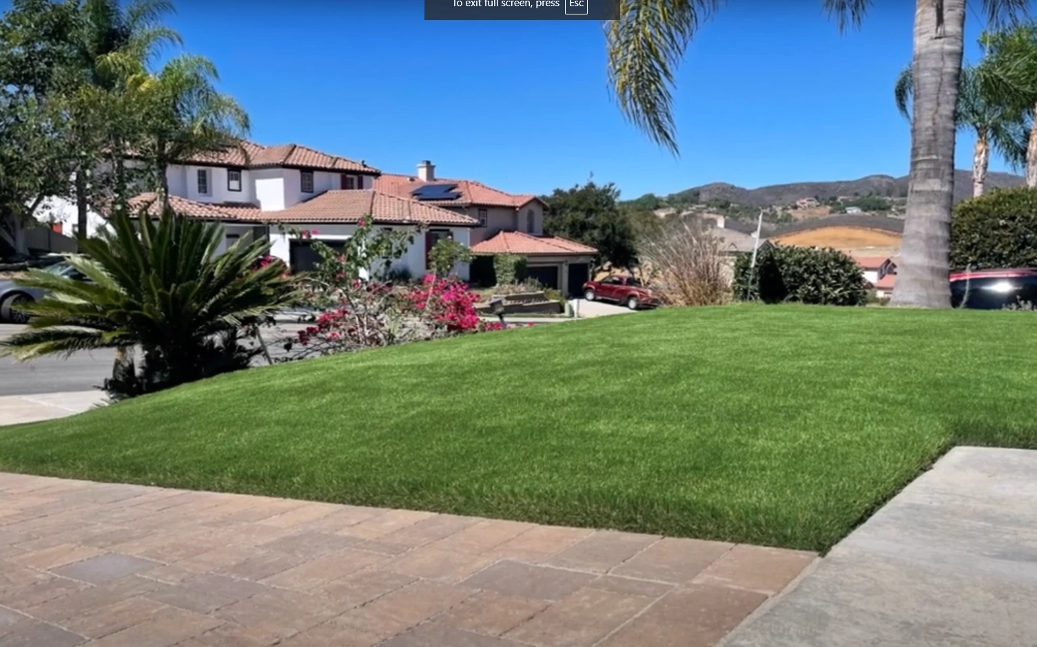 artificial grass