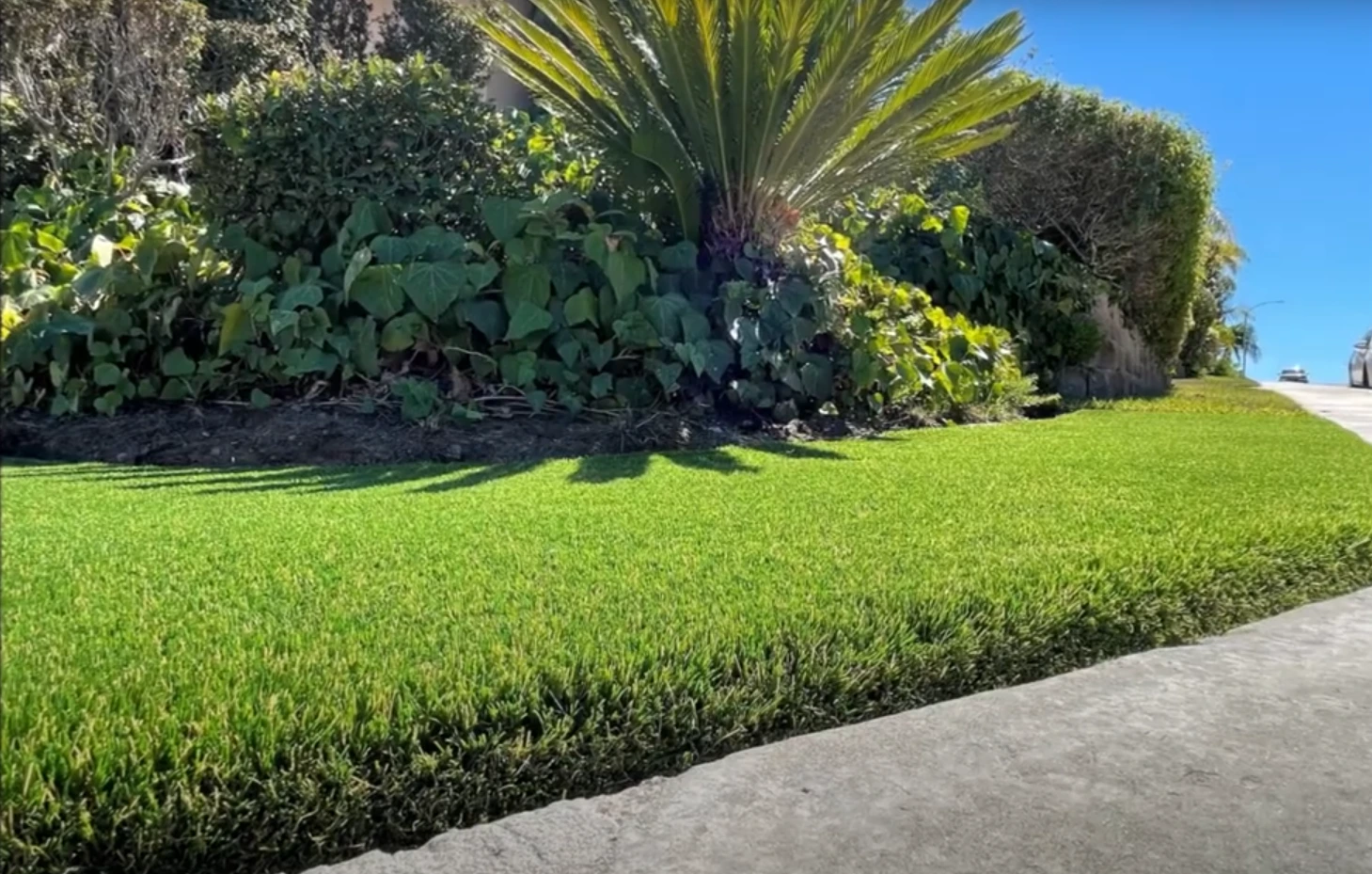 synthetic turf Miami